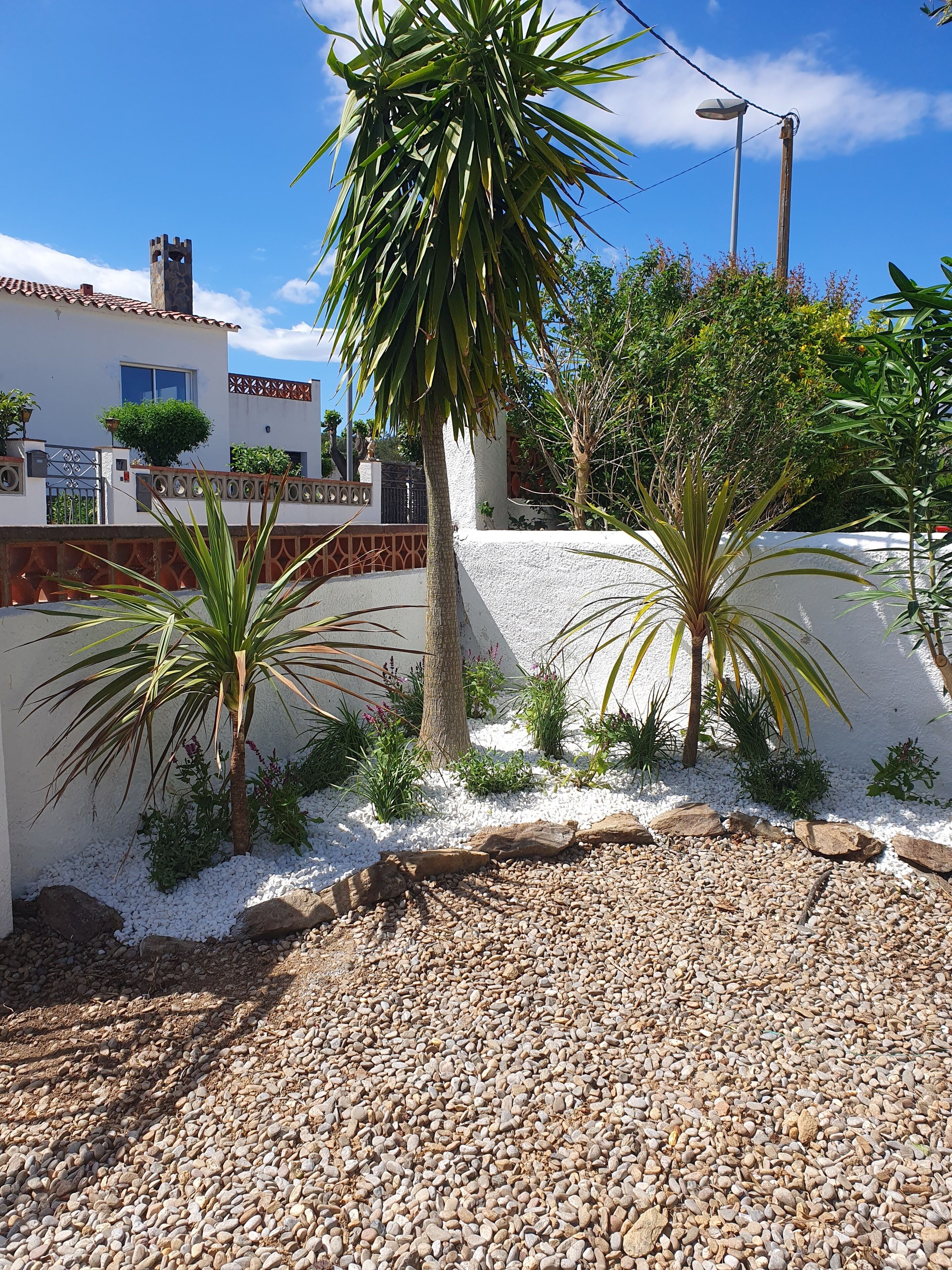 A residential area with white walls, a palm tree, and a white picket fence.