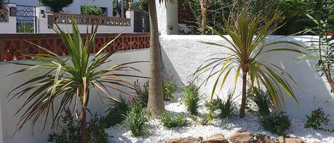 A residential area with white walls, a palm tree, and a white picket fence.
