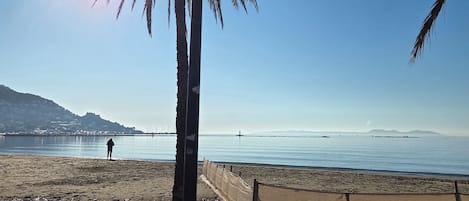Playa en los alrededores y camastros