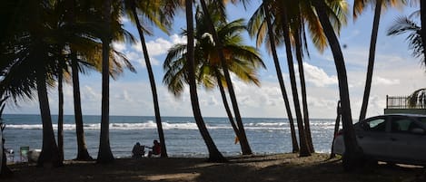 Una spiaggia nelle vicinanze, teli da spiaggia