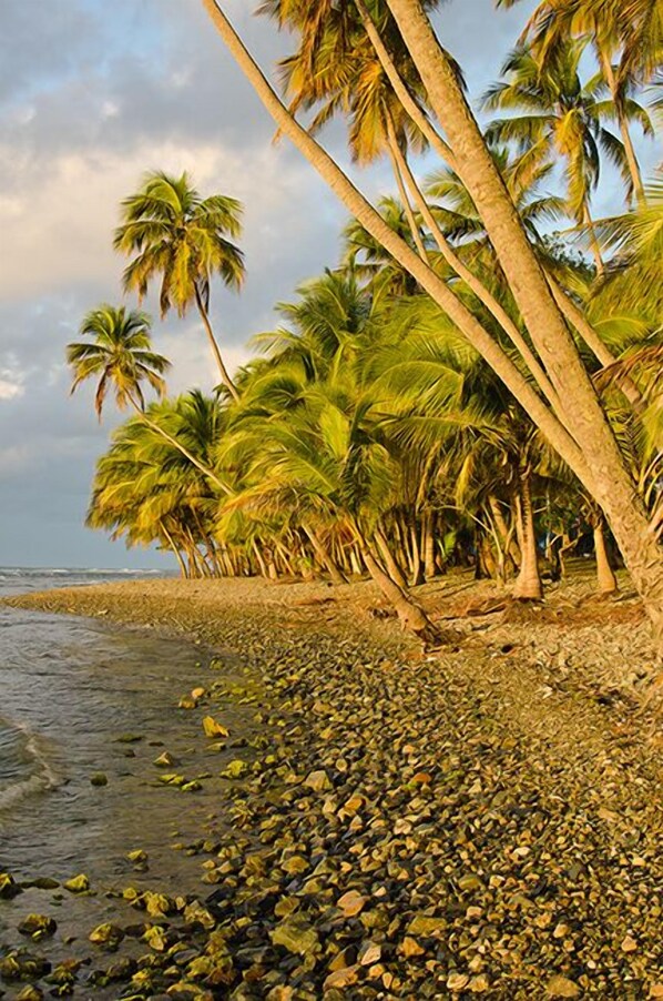 Beach nearby, beach towels