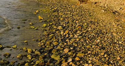 Gated Home w / piscine privée sur PR3 par Ocean-5 min à pied de la plage