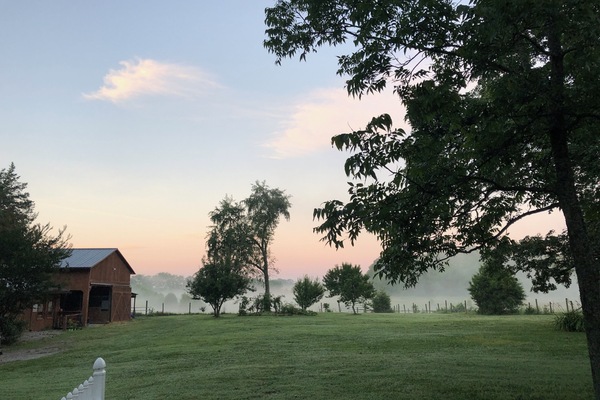 Mornings are special here.