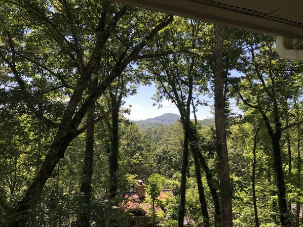Vista desde la propiedad