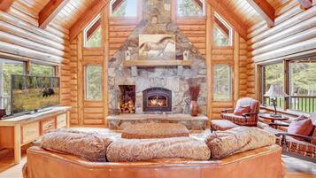 Smart TV, fireplace, DVD player, books