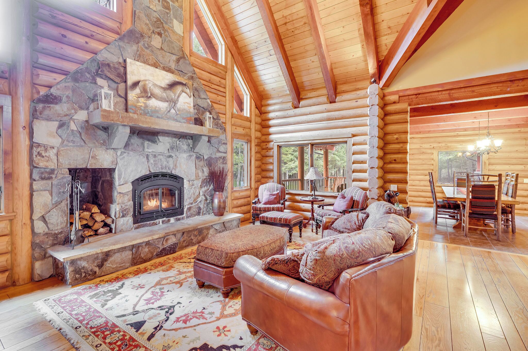 Smart TV, lareira, DVD player, livros