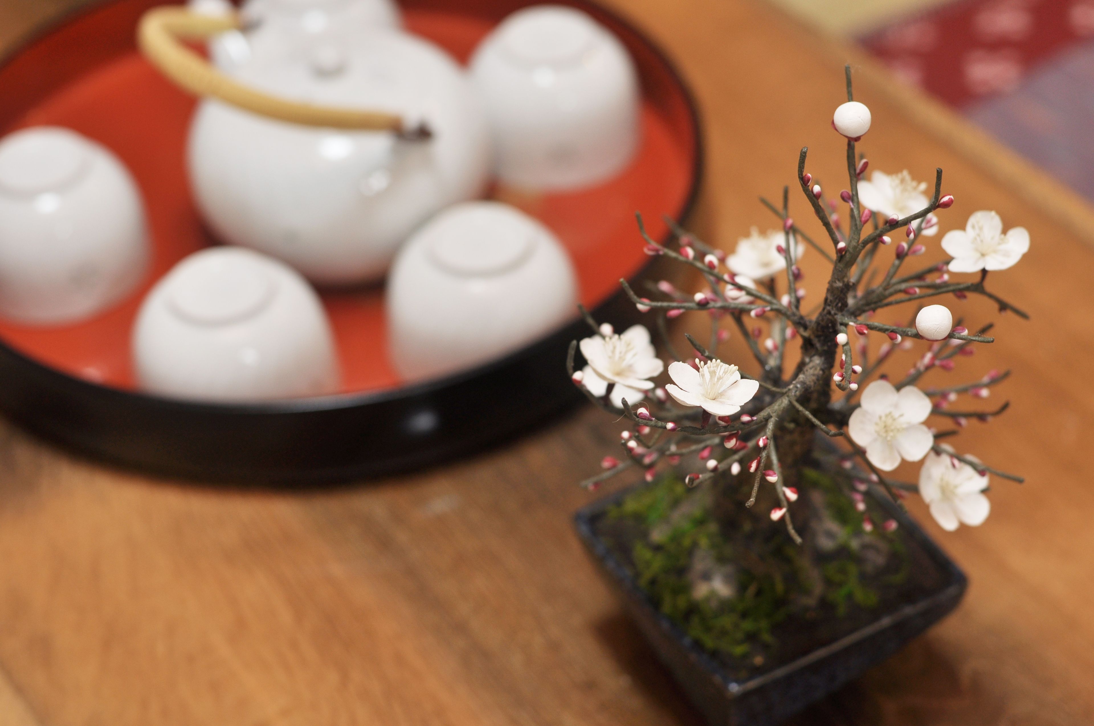 Un plateau avec des théières et une petite plante en pot ornée de fleurs blanches.