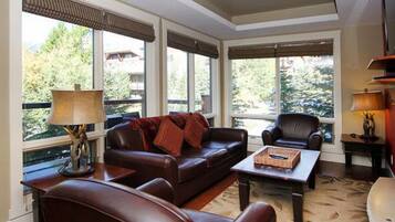 Smart TV, chimenea y libros