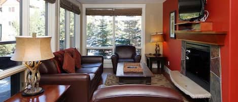 Smart TV, fireplace, books