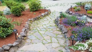Un sendero de piedra bordeado de rocas y diversas plantas, que atraviesa un jardín con distintos tipos de vegetación e iluminación.