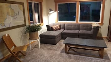 Smart TV, fireplace, books