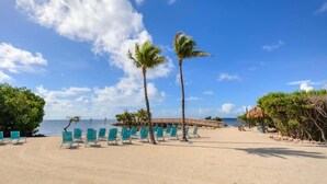 A beach with rows of green lounge chairs, palm trees, and a wooden walkway leading to the water. - Sunrise Suite with Unobstructed Ocean Views (Tavernier)