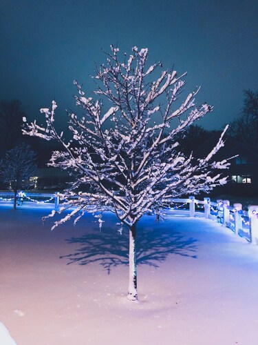 "St Geneva" Private With River View! 7 min to the Q Center