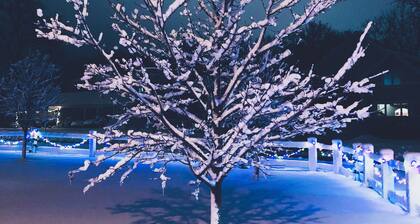 "St Geneva" Private With River View! 7 min to the Q Center