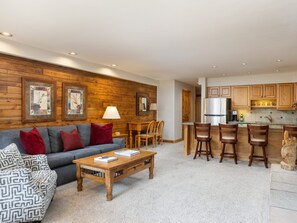TV, fireplace, books