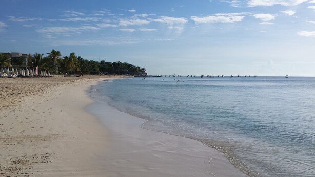 A beach with a sandy shore, palm trees, and a calm sea. - Spectacular two level penthouse 850' to the beach and 1.5 blocks to 5th Ave. (Playa Del Carmen)