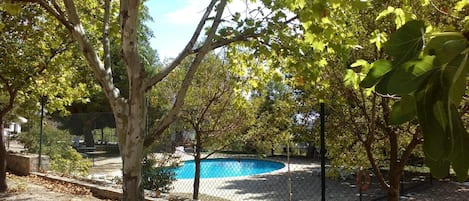 Una piscina al aire libre, sillones reclinables de piscina