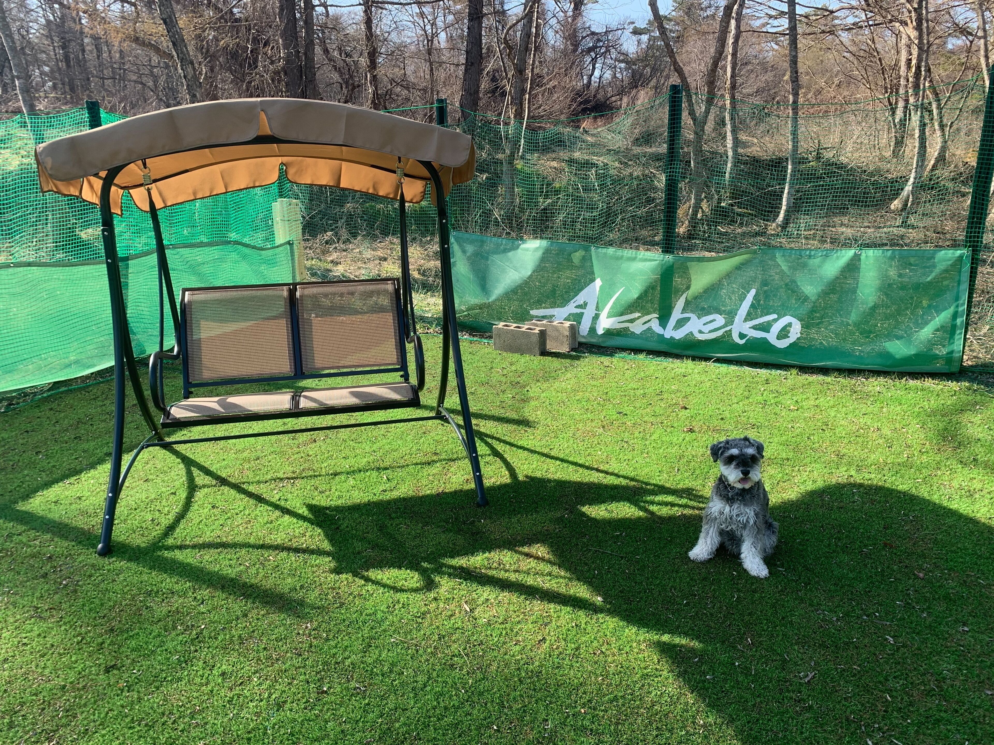 A swing chair with a canopy, a dog, and a green banner with the word "Akabe" in a park.