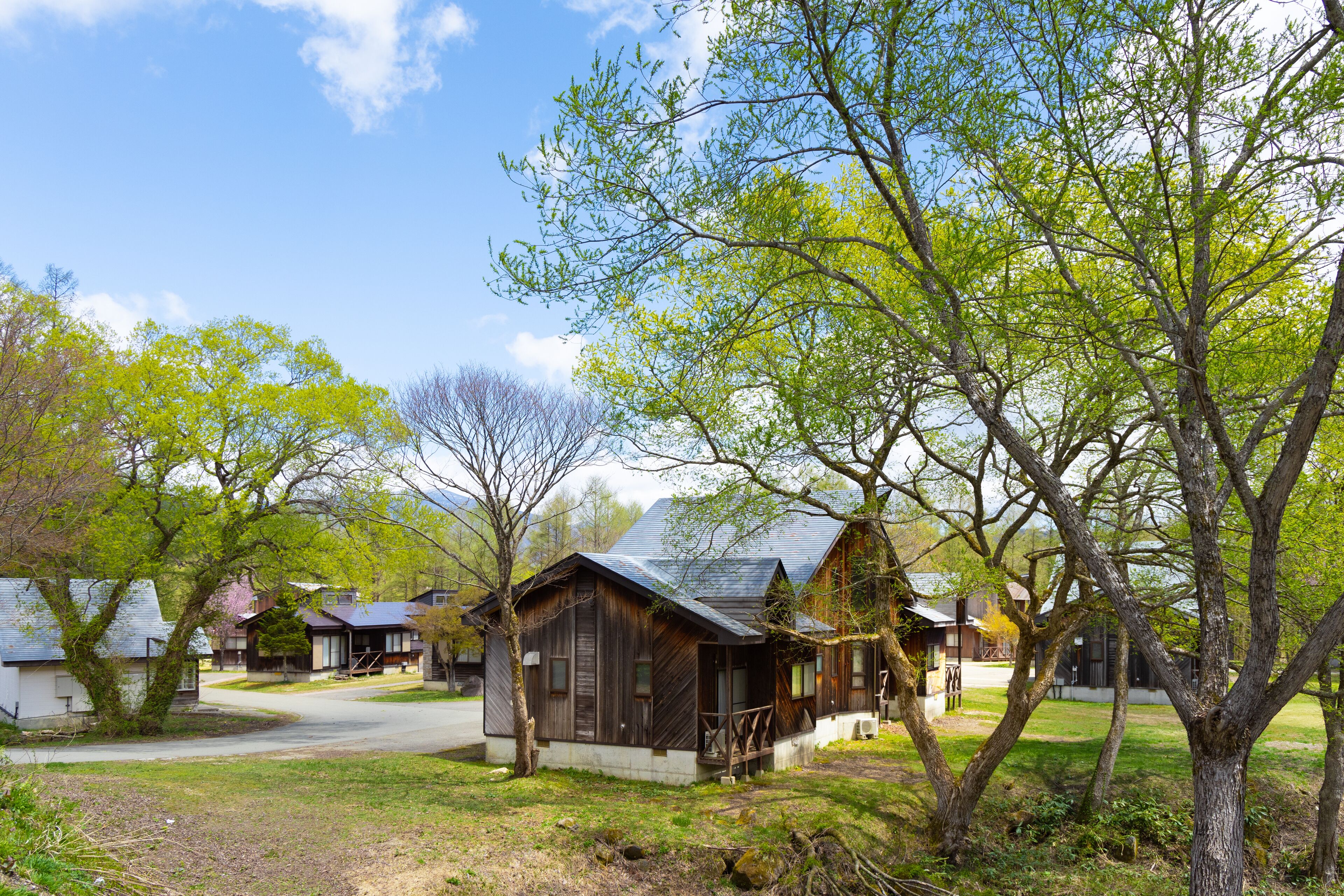 A rustic cabin-style building with a porch and a small deck, surrounded by lush greenery and trees.