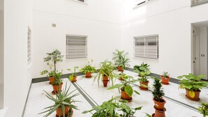 A spacious indoor area with multiple potted plants arranged on a tiled floor, white walls, and two windows with metal grilles. - La Sorpresa del GENOVES by Cadiz4Rentals (Cádiz)
