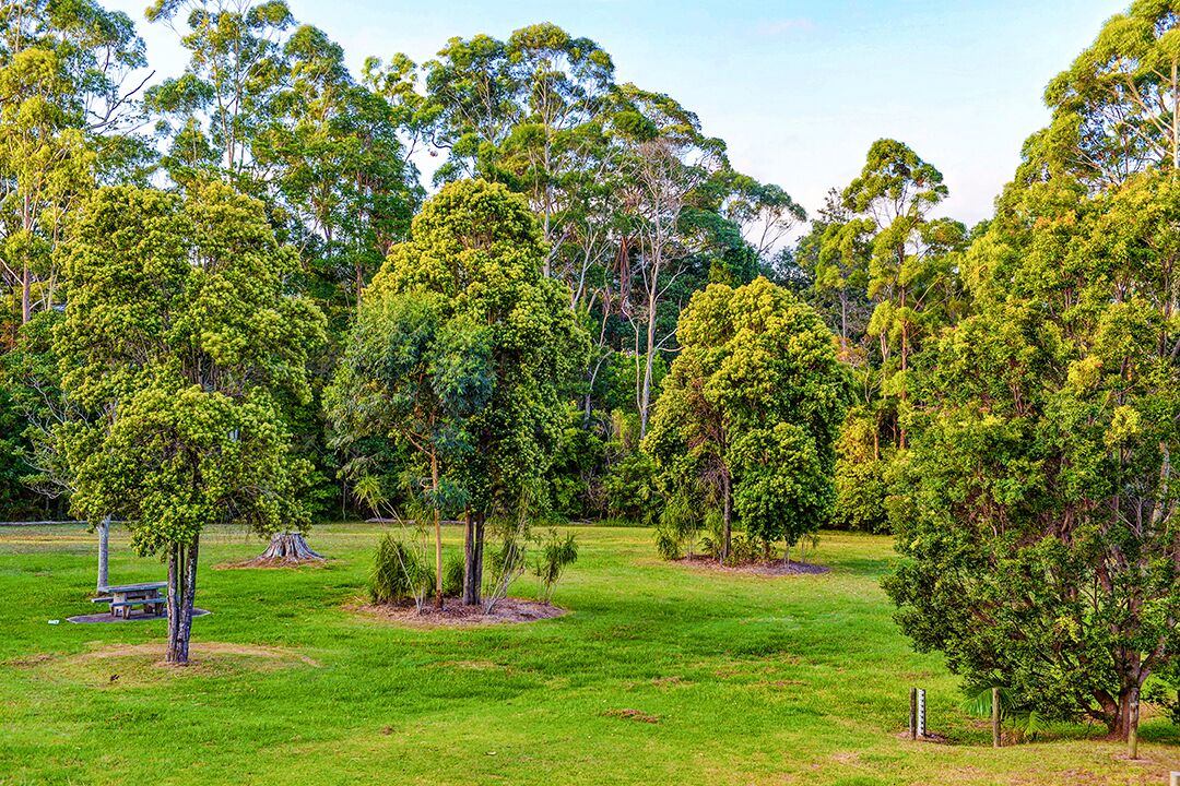 A park with various trees and a picnic table.