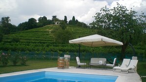 A swimming pool with lounge chairs and an umbrella, surrounded by greenery and hills. - Agriturismo Colutta (Manzano)