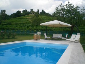 Seasonal outdoor pool, pool umbrellas, pool loungers