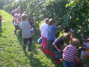 Children’s activities