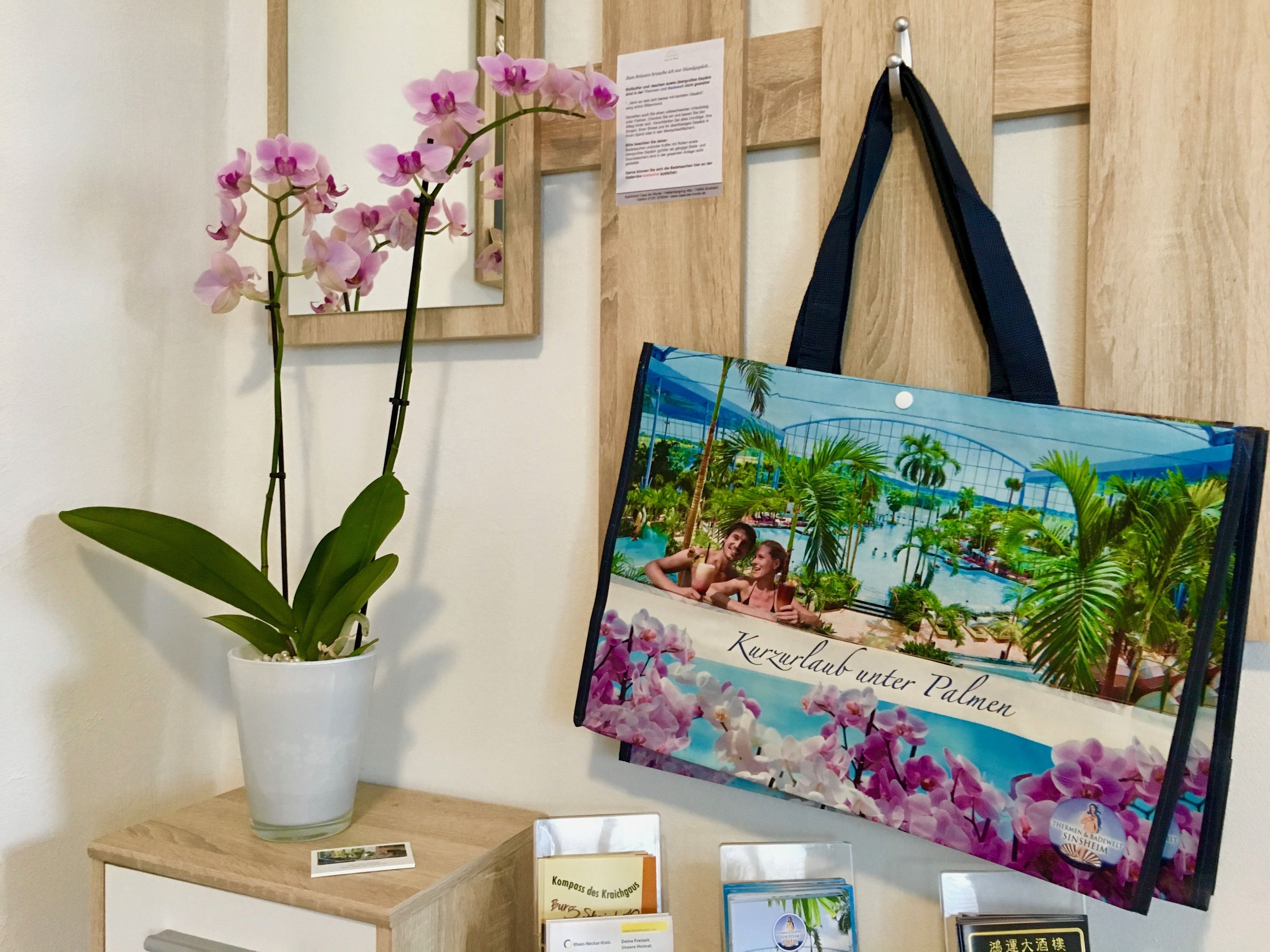 Apartment, 1 Schlafzimmer | Zimmerausstattung