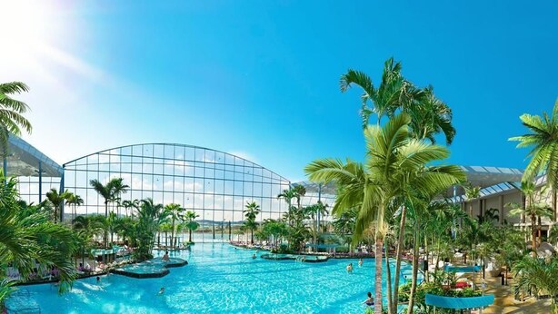 En stor indendørs swimmingpool med flere baner, omgivet af palmer og en moderne glasbygning.
