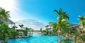 A large indoor swimming pool with multiple lanes, surrounded by palm trees and a modern glass building. - Apartment Casa del Monte (Sinsheim)