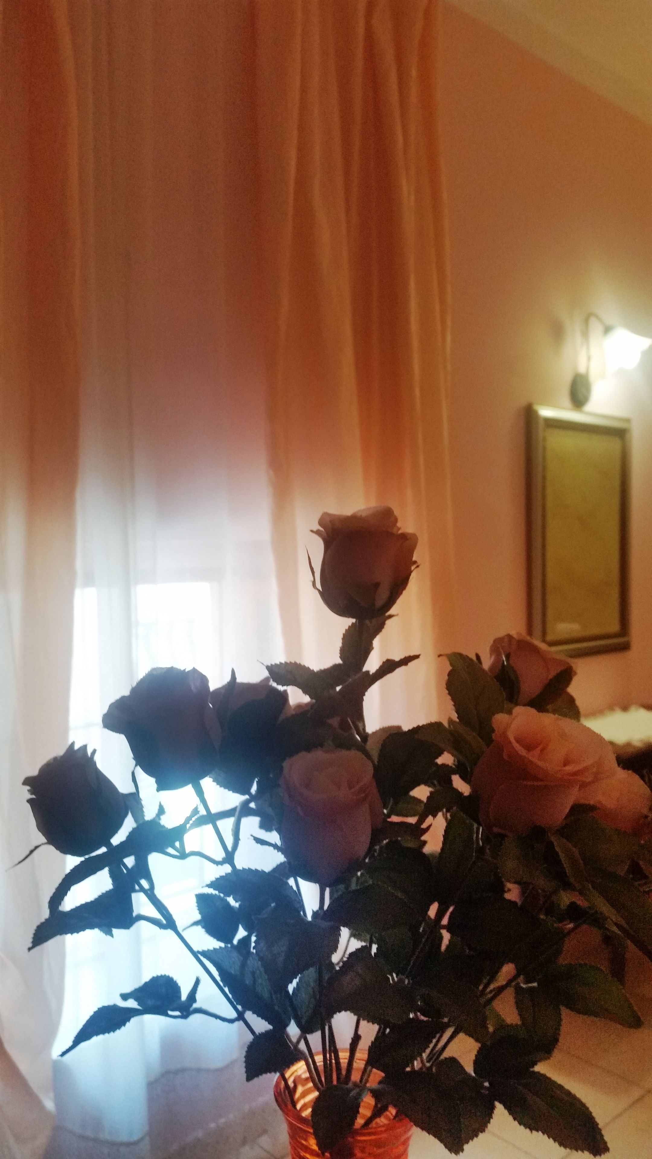 A vase with roses in a room with a window and curtains.