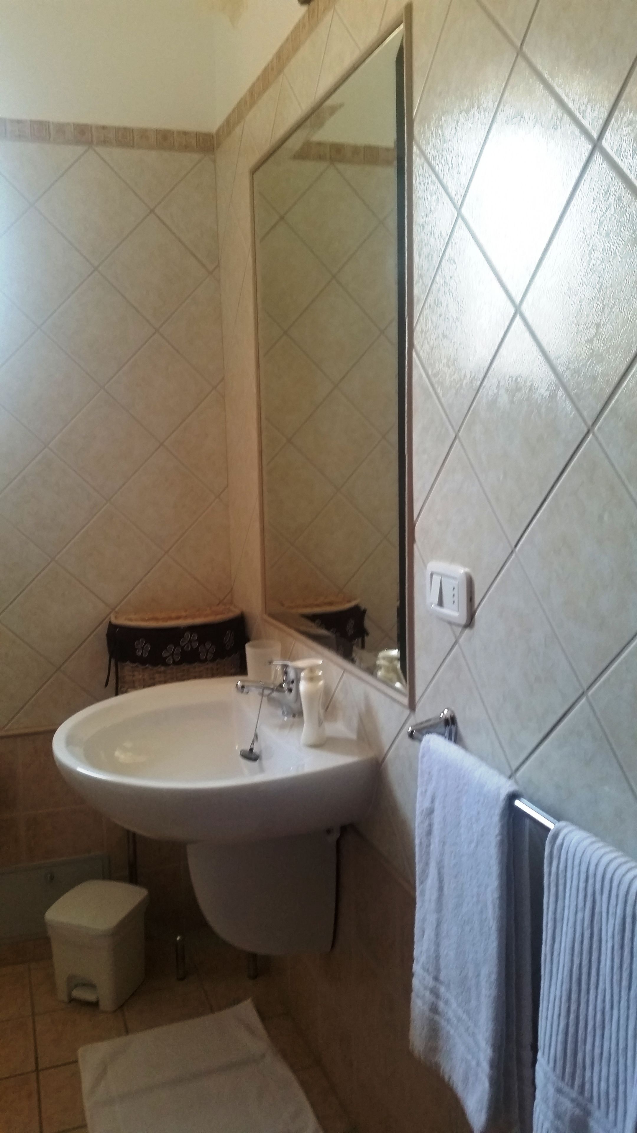 Casa de banho com lavatório, espelho e porta-toalhas.