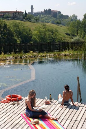 Outdoor pool, pool umbrellas, sun loungers - Agriturismo Borgoluce (Susegana)