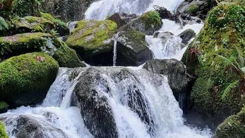 A multi-tiered waterfall surrounded by moss-covered rocks and dense forest.