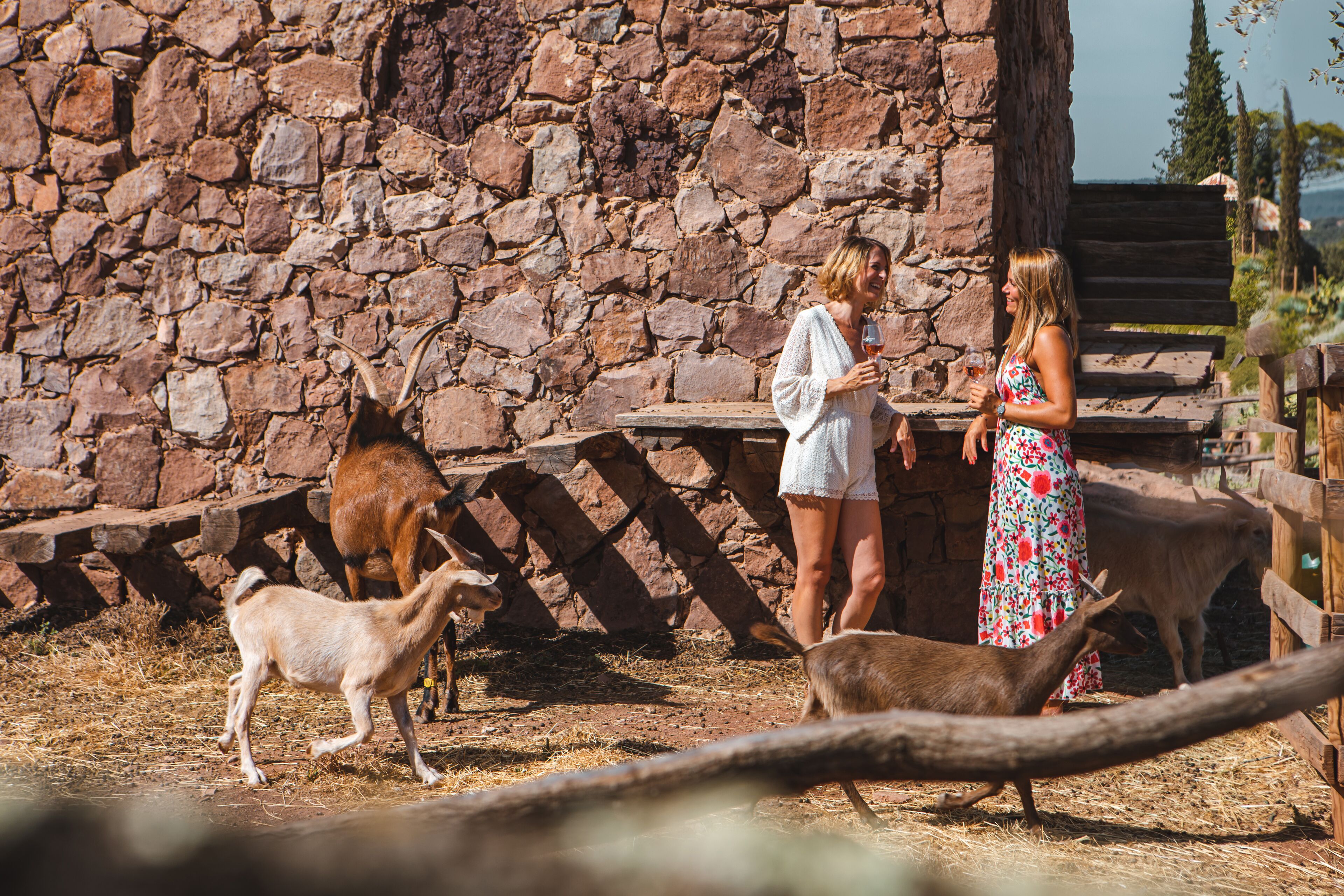 A stone wall, wooden benches, and a fenced area with animals.