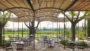 Un espace de restauration en plein air, avec des tables et des chaises sous un toit de chaume, entouré de verdure et offrant une vue sur la campagne.