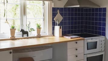 Fridge, stovetop, dishwasher