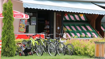 A storefront with a green and pink display, bicycles parked outside, and a green tree in front.