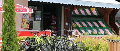 A storefront with a green and pink display, bicycles parked outside, and a green tree in front.