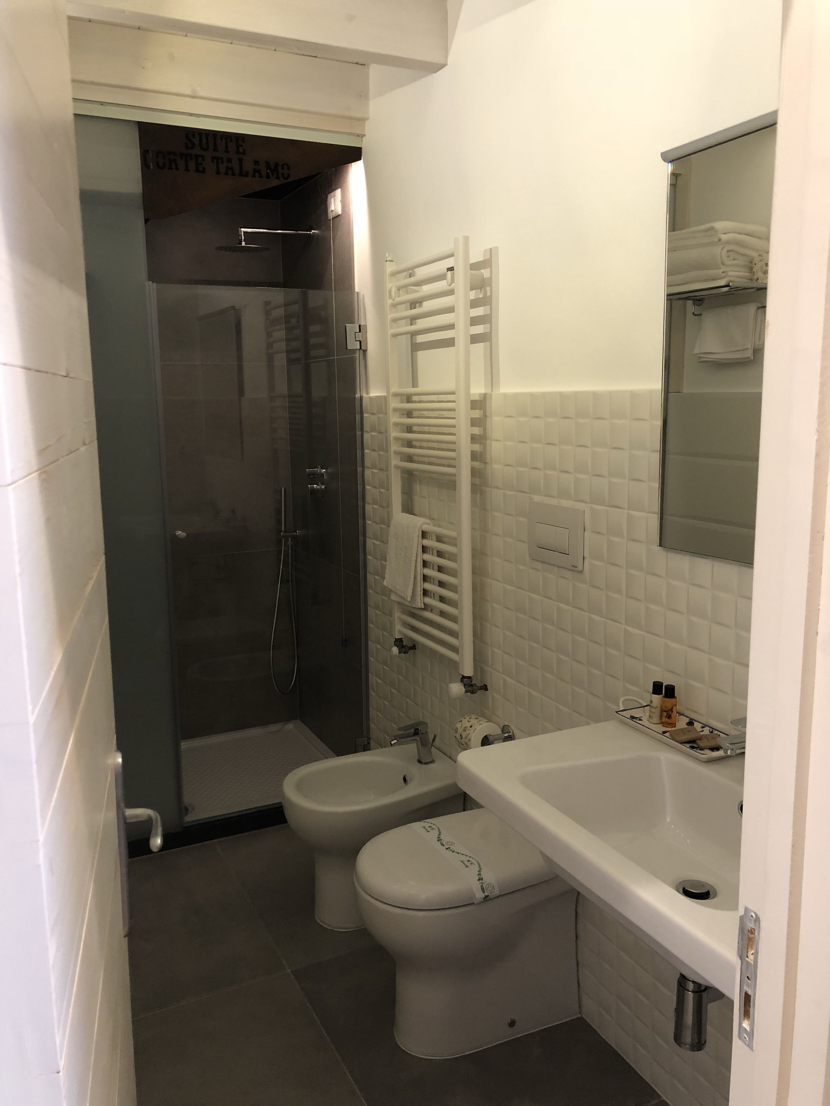 Een moderne badkamer met een douche met glazen wand, een toilet, een wastafel en een spiegel erboven.