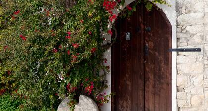 Old Olive Mill House by TrulyCyprus