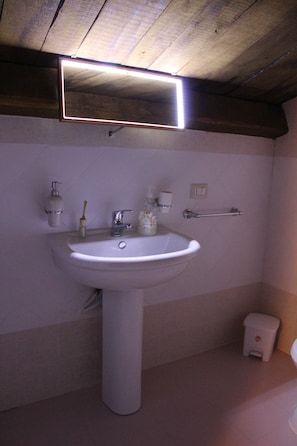 Shower, free toiletries, hair dryer, bidet