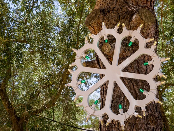 A tree with a white, star-shaped light fixture attached to its trunk. - I Ruscioli (Lecce)