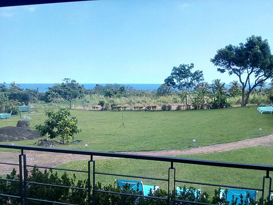A grassy area with a few trees and a view of the ocean.