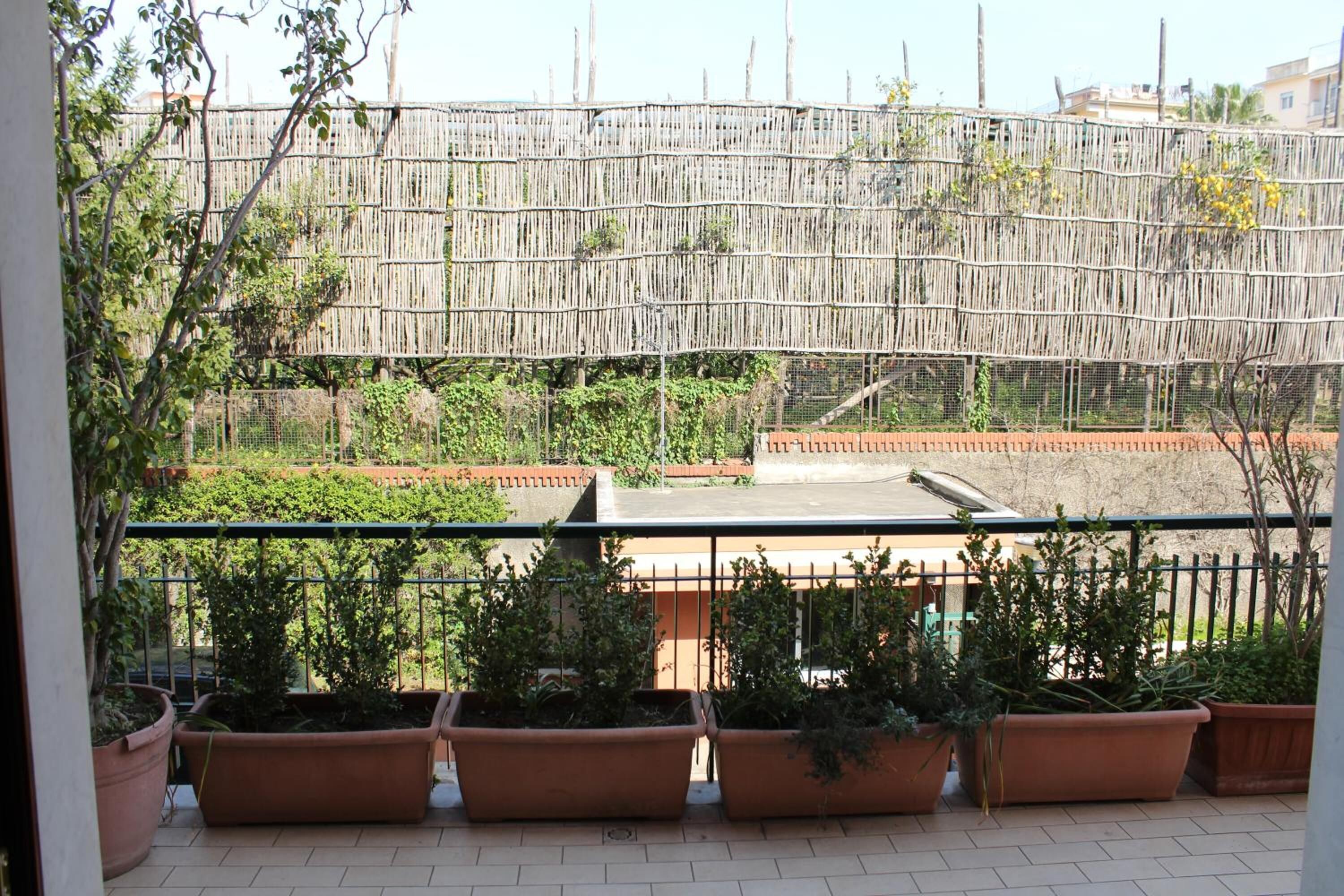 Foto - Lemon Rooms Sorrento