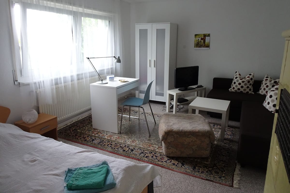 A hotel room with a bed, a desk with a computer, a television, a sofa, and a patterned rug.