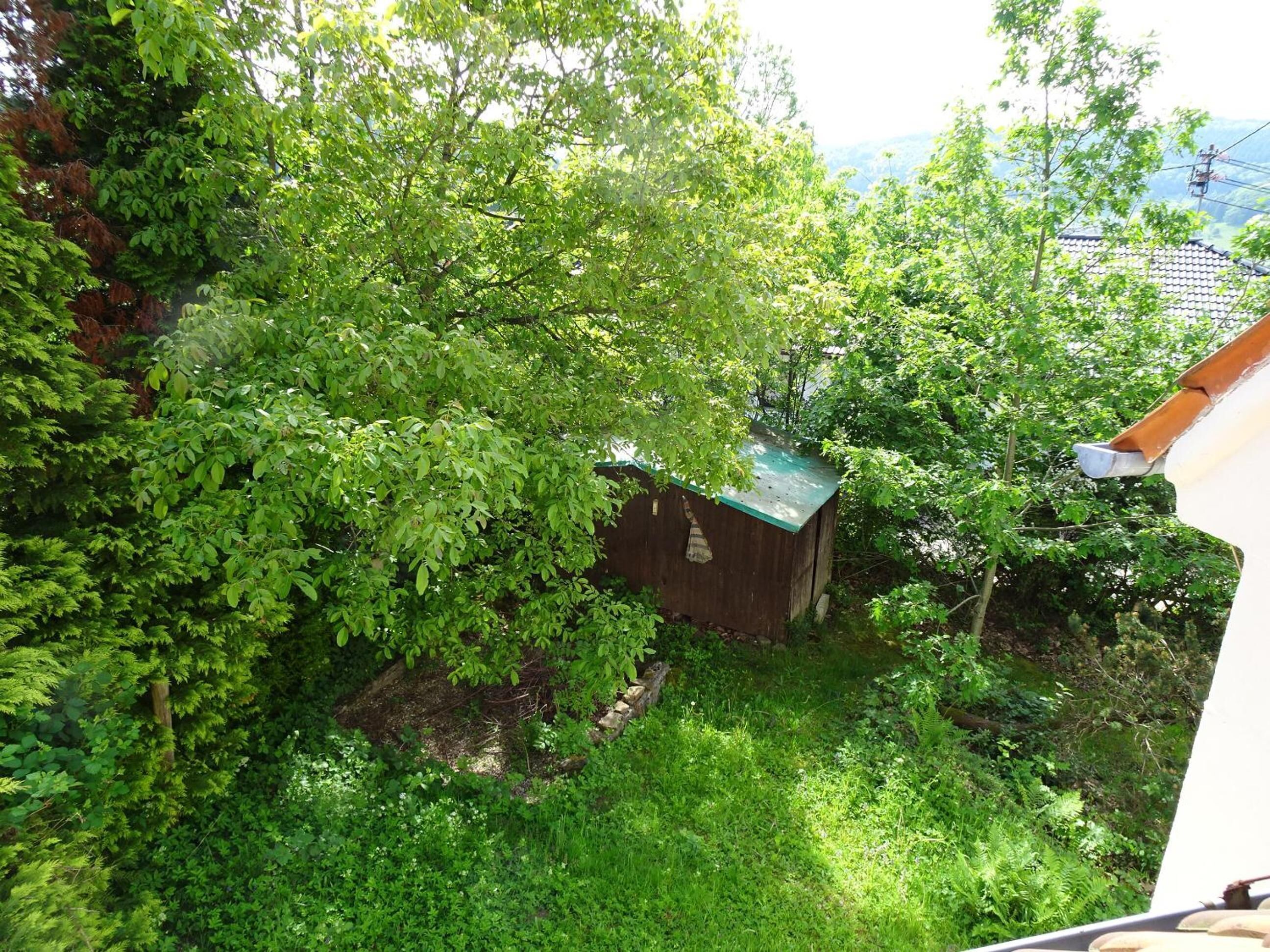 A lush garden with a wooden shed and a house with a green roof.