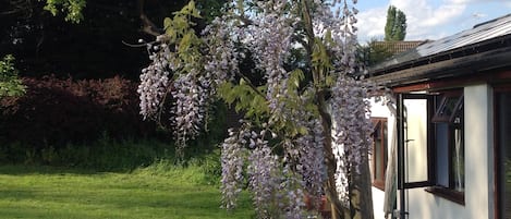 Jardin