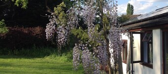 Yew Tree Farm